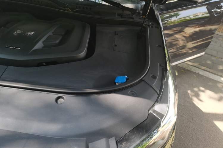 Used Hongqi HS7 2021 2.0T DCT Two-Wheel Drive Smart Connect Flagship Edition Engine Bay Left