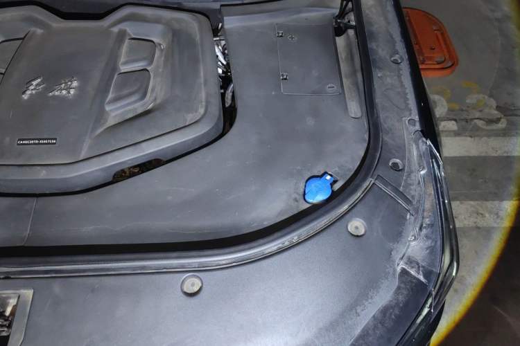 Used Hongqi HS7 2021 2.0T DCT Two-Wheel Drive Smart Connect Flagship Edition Engine Bay Left