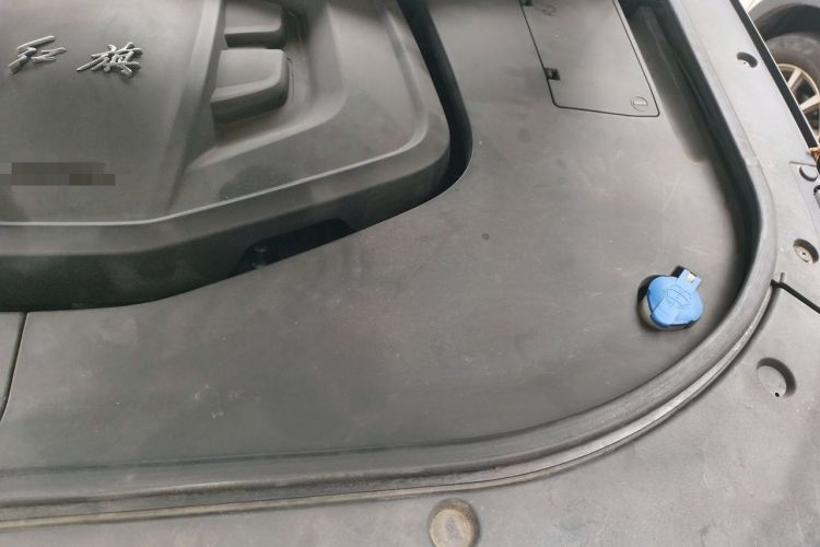 Used Hongqi HS7 2021 2.0T DCT Two-Wheel Drive Smart Connect Flagship Edition Engine Bay Left