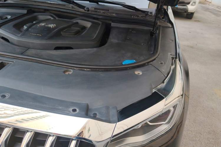 Used Hongqi HS7 2021 2.0T DCT Two-Wheel Drive Smart Connect Flagship Edition Engine Bay Left