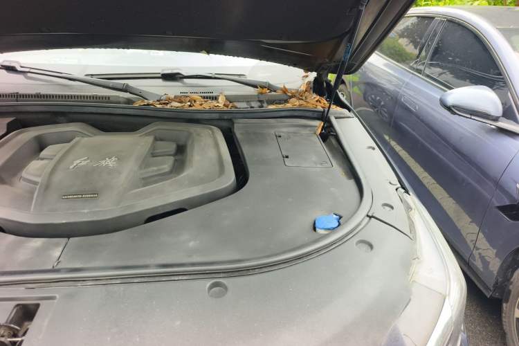 Used Hongqi HS7 2021 2.0T DCT Two-Wheel Drive Smart Connect Flagship Edition Engine Bay Left