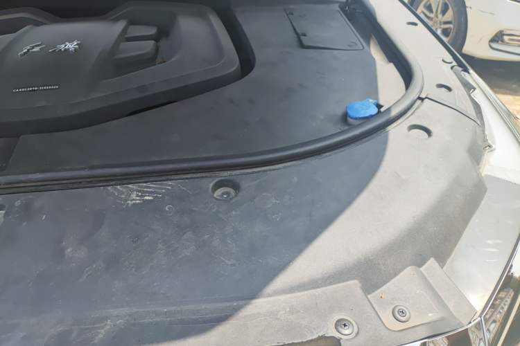 Used Hongqi HS7 2021 2.0T DCT Two-Wheel Drive Smart Connect Flagship Edition Engine Bay Left