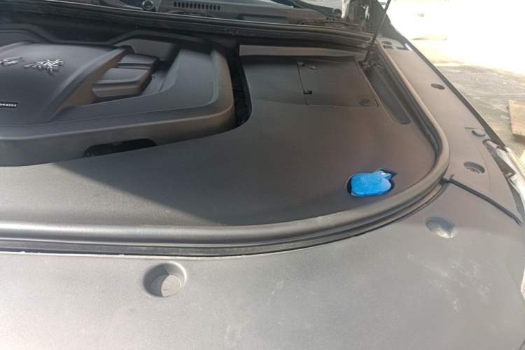 Used Hongqi HS7 2021 2.0T DCT Two-Wheel Drive Smart Connect Flagship Edition Engine Bay Left
