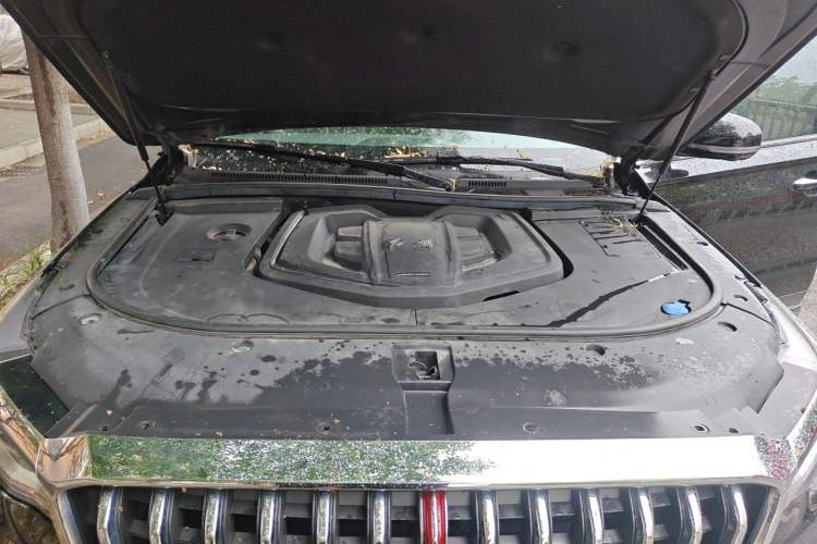 Used Hongqi HS7 2021 2.0T DCT Two-Wheel Drive Smart Connect Flagship Edition Engine Bay