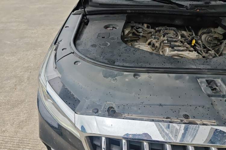 Used Hongqi HS7 2021 2.0T DCT Two-Wheel Drive Smart Connect Flagship Edition Engine Bay Right