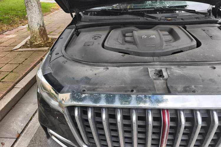 Used Hongqi HS7 2021 2.0T DCT Two-Wheel Drive Smart Connect Flagship Edition Engine Bay Right