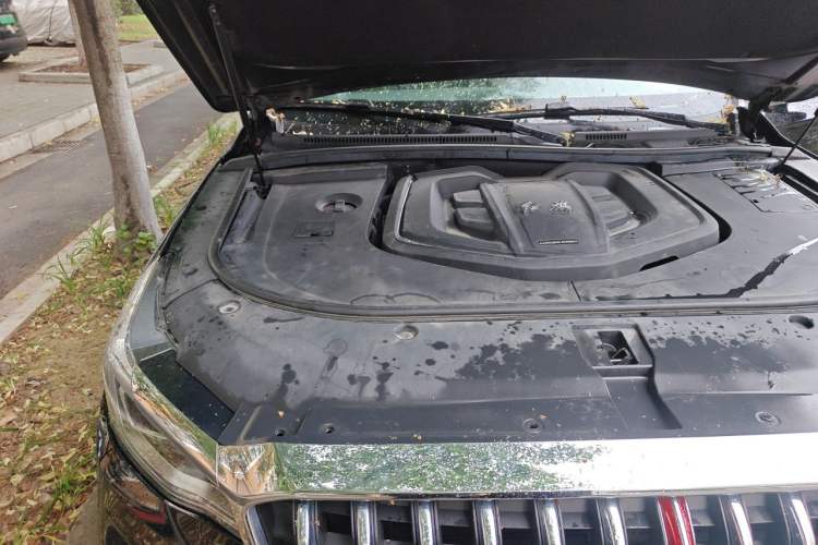 Used Hongqi HS7 2021 2.0T DCT Two-Wheel Drive Smart Connect Flagship Edition Engine Bay Right