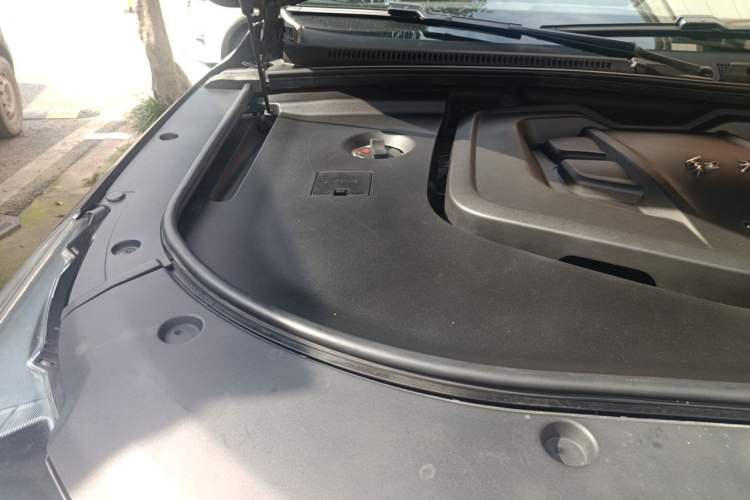 Used Hongqi HS7 2021 2.0T DCT Two-Wheel Drive Smart Connect Flagship Edition Engine Bay Right
