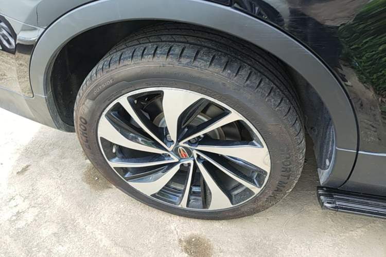 Used Hongqi HS7 2021 3.0T Automatic All-Wheel Drive Smart Connect Flagship Edition Exterior 5