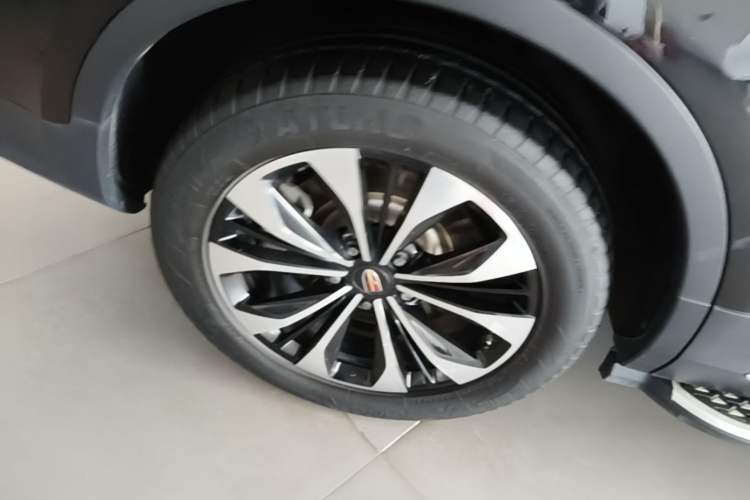 Used Hongqi HS7 2021 2.0T DCT Two-Wheel Drive Smart Connect Flagship Edition Exterior 5