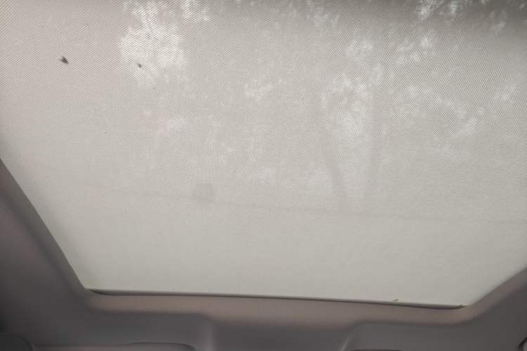 Used Hongqi HS7 2021 2.0T DCT Two-Wheel Drive Smart Connect Flagship Edition Headliner