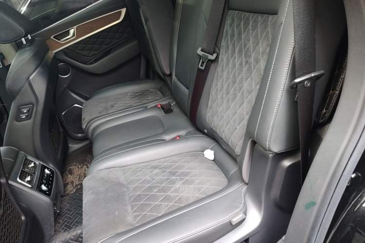 Used Hongqi HS7 2021 2.0T DCT Two-Wheel Drive Smart Connect Flagship Edition Left Rear Seat