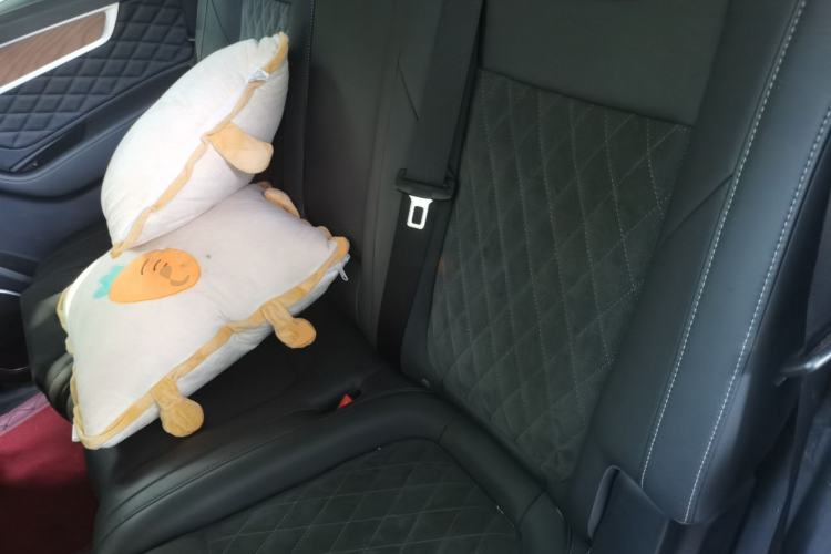 Used Hongqi HS7 2021 2.0T DCT Two-Wheel Drive Smart Connect Flagship Edition Left Rear Seat