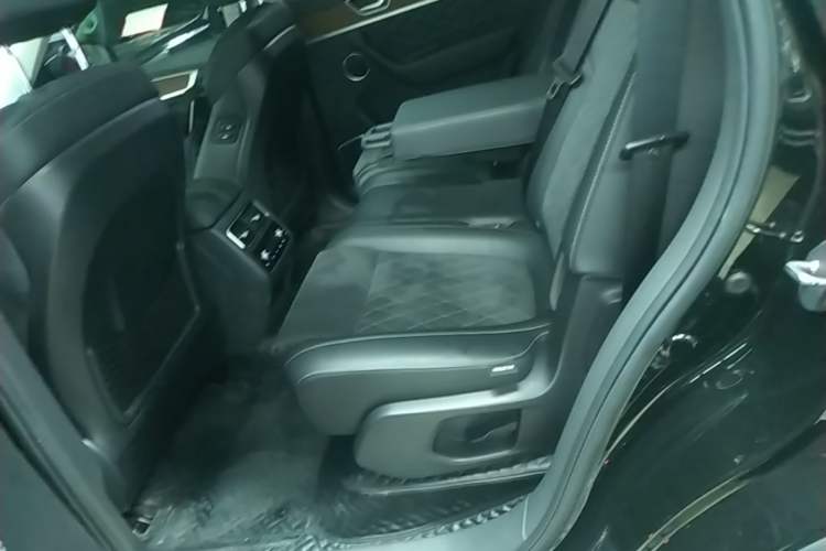 Used Hongqi HS7 2021 3.0T Automatic All-Wheel Drive ZhiLian Flagship Edition Left Rear Seat