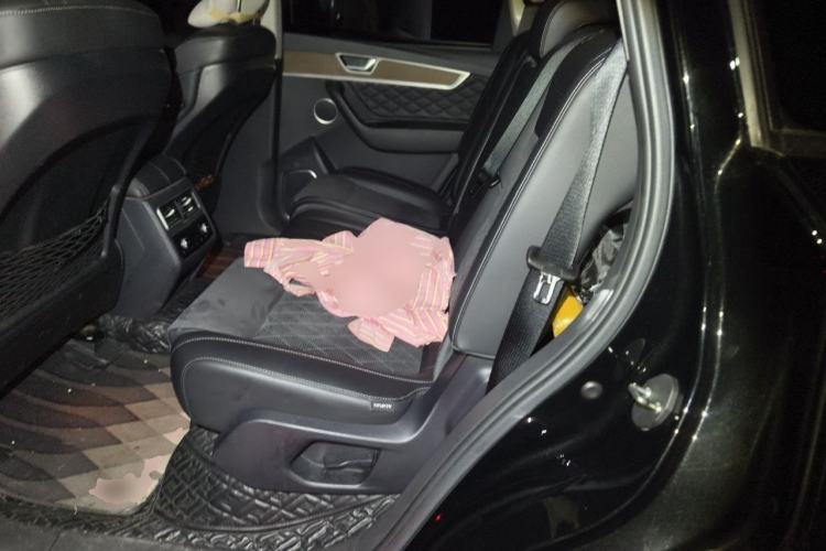 Used Hongqi HS7 2021 2.0T DCT Two-Wheel Drive Smart Connect Flagship Edition Left Rear Seat