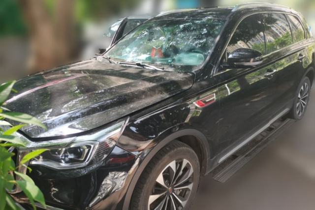 Used Hongqi HS7 2021 2.0T DCT Two-Wheel Drive Smart Connect Flagship Edition