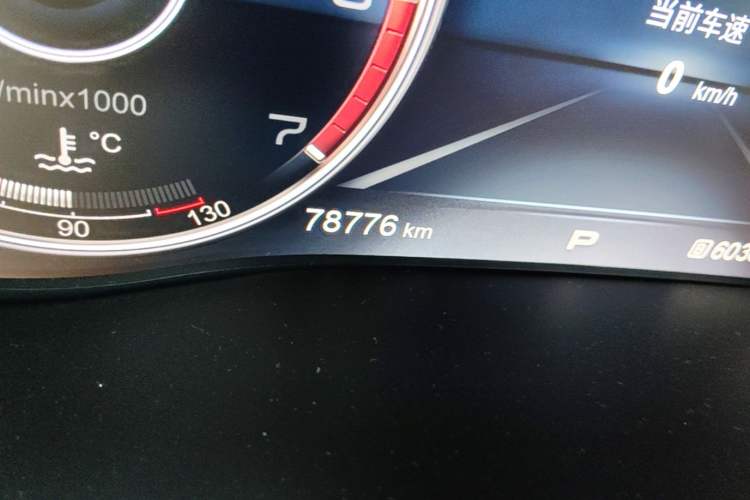 Used Hongqi HS7 2021 3.0T Automatic All-Wheel Drive Smart Connect Flagship Edition Odometer Close Up