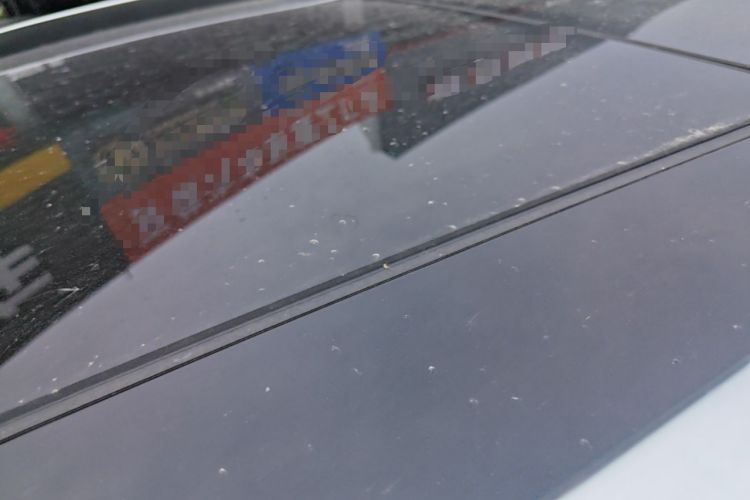 Used Hongqi HS7 2021 3.0T Automatic All-Wheel Drive Smart Connect Flagship Edition Roof