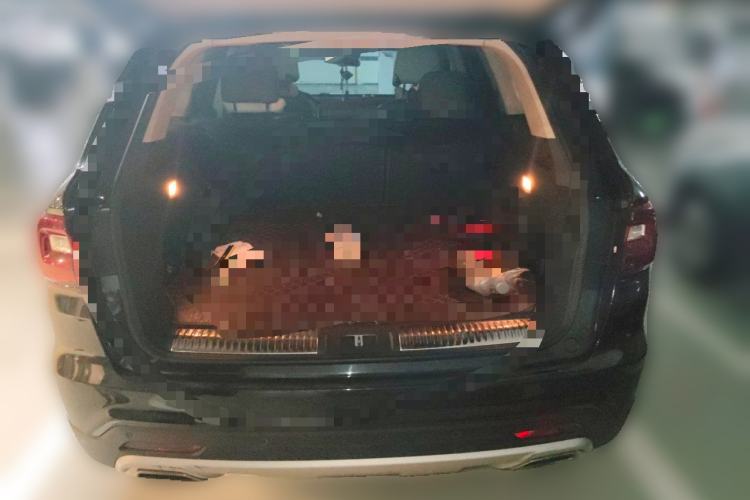 Used Hongqi HS7 2021 2.0T DCT Two-Wheel Drive Smart Connect Flagship Edition Trunk