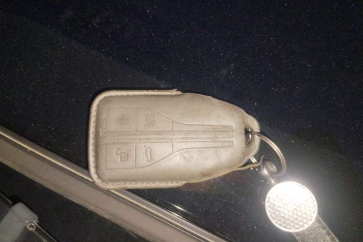Used Hongqi HS7 2021 2.0T DCT Two-Wheel Drive Smart Connect Flagship Edition Vehicle Key