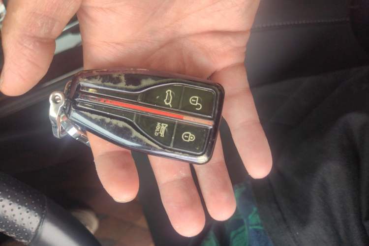 Used Hongqi HS7 2021 2.0T DCT Two-Wheel Drive Smart Connect Flagship Edition Vehicle Key