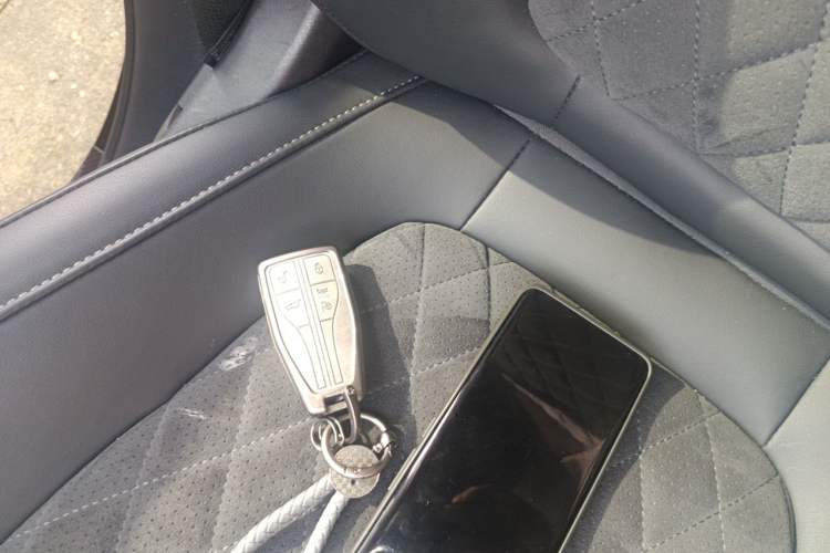 Used Hongqi HS7 2021 2.0T DCT Two-Wheel Drive Smart Connect Flagship Edition Vehicle Key