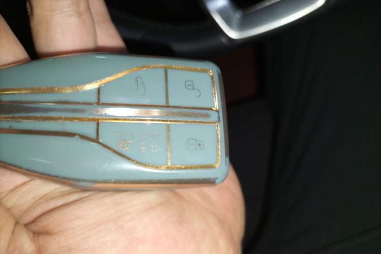 Used Hongqi HS7 2021 2.0T DCT Two-Wheel Drive Smart Connect Flagship Edition Vehicle Key