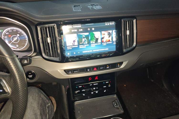 Used Hongqi HS7 2022 2.0T DCT Two-Wheel Drive Smart Connect Flagship Edition Five Seats Audio And AC Panel