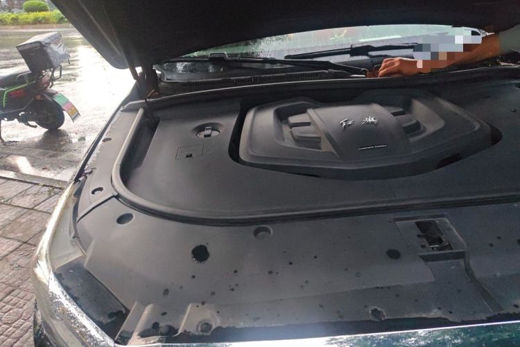 Used Hongqi HS7 2022 2.0T DCT Two-Wheel Drive Smart Connect Flagship Edition Five Seats Engine Bay Right