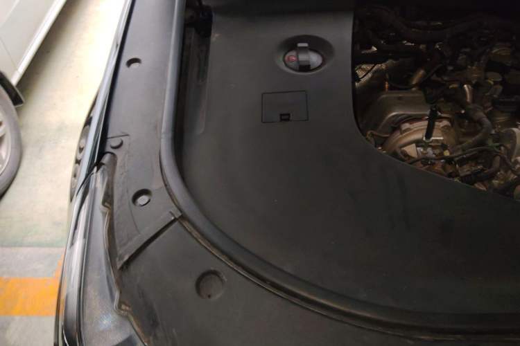 Used Hongqi HS7 2022 2.0T DCT Two-Wheel Drive Smart Connect Flagship Edition Five Seats Engine Bay Right