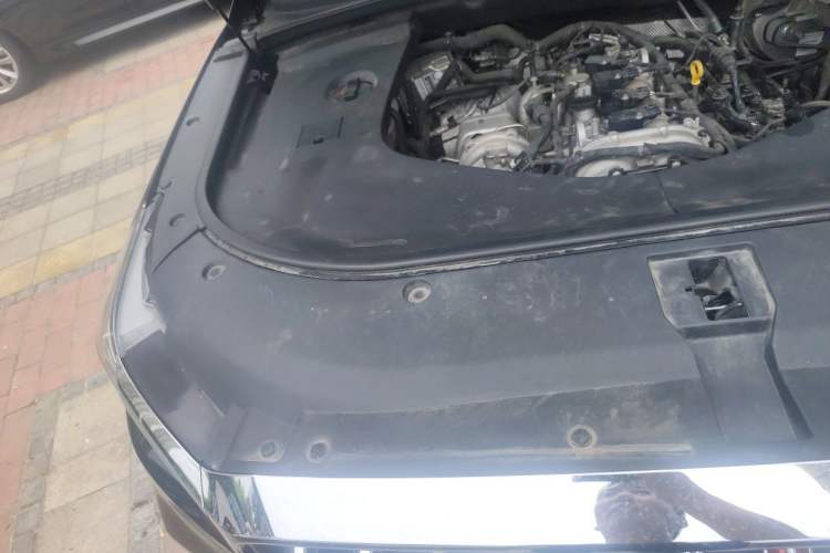 Used Hongqi HS7 2022 2.0T DCT Two-Wheel Drive Smart Connect Flagship Edition Five Seats Engine Bay Right