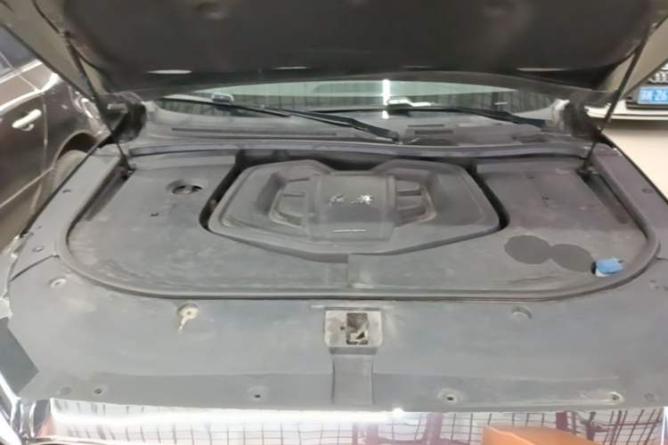 Used Hongqi HS7 2022 2.0T DCT Two-Wheel Drive Smart Connect Flagship Edition 7 Seats Engine Bay