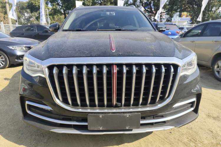 Used Hongqi HS7 2022 2.0T DCT Two-Wheel Drive Smart Connect Flagship Edition Five Seats Exterior 1