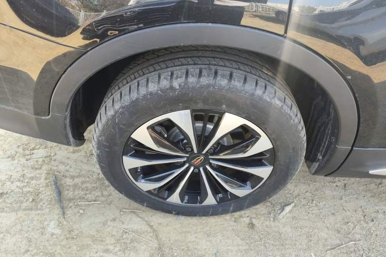Used Hongqi HS7 2022 2.0T DCT Two-Wheel Drive Smart Connect Flagship Edition Five Seats Exterior 8