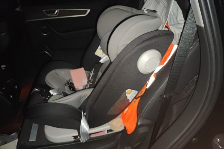 Used Hongqi HS7 2022 2.0T DCT Two-Wheel Drive Smart Connect Flagship Edition Five Seats Left Rear Seat