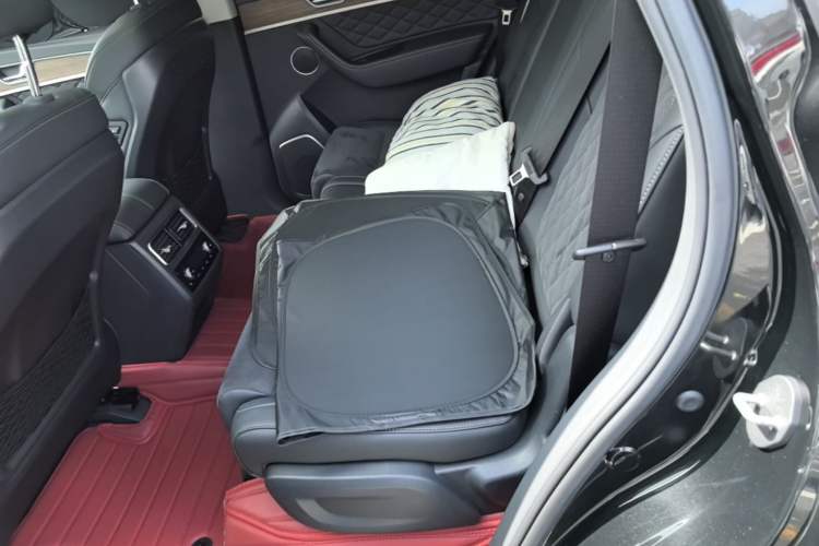 Used Hongqi HS7 2022 2.0T DCT Two-Wheel Drive Smart Connect Flagship Edition Five Seats Left Rear Seat
