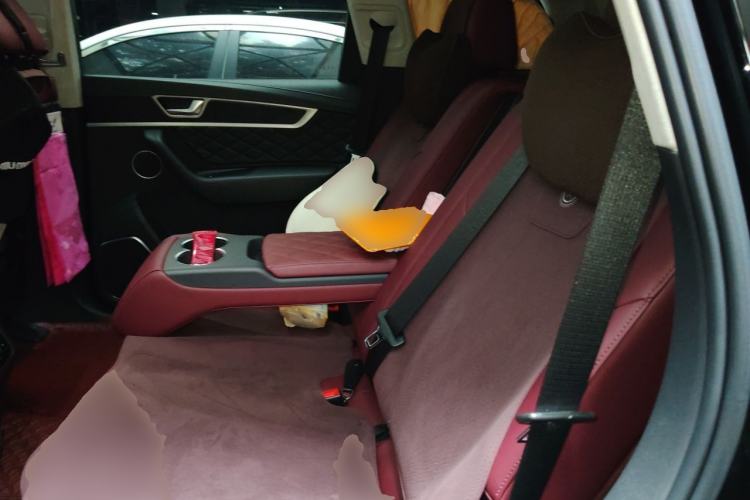 Used Hongqi HS7 2022 2.0T DCT Two-Wheel Drive Smart Connect Flagship Edition Five Seats Left Rear Seat