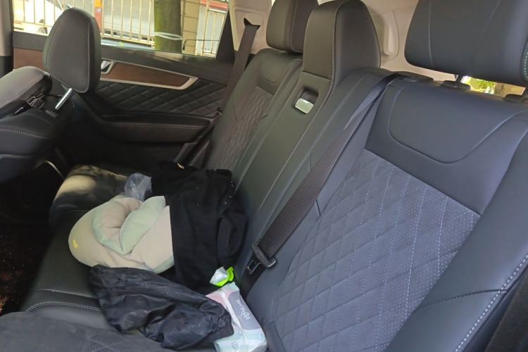 Used Hongqi HS7 2022 2.0T DCT Two-Wheel Drive Smart Connect Flagship Edition Five Seats Left Rear Seat