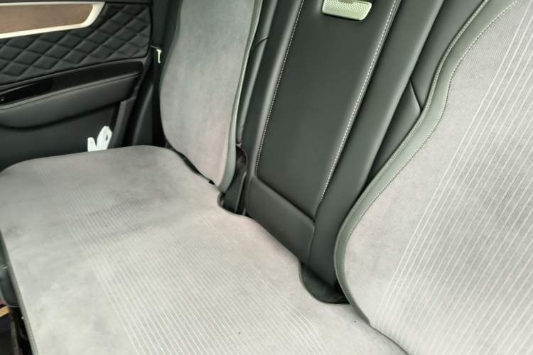 Used Hongqi HS7 2022 2.0T DCT Two-Wheel Drive Smart Connect Flagship Edition Five Seats Left Rear Seat