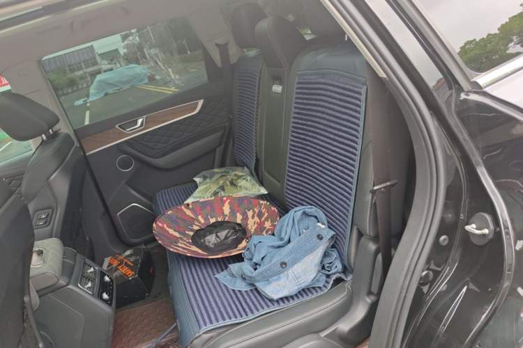 Used Hongqi HS7 2022 2.0T DCT Two-Wheel Drive Smart Connect Flagship Edition Five Seats Left Rear Seat