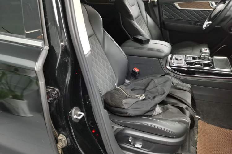 Used Hongqi HS7 2022 3.0T Automatic All-Wheel Drive ZhiLian Flagship Edition Five Seats Right Front Seat