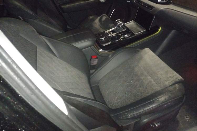 Used Hongqi HS7 2022 2.0T DCT Two-Wheel Drive Smart Connect Flagship Edition Seven Seats Right Front Seat