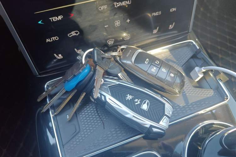 Used Hongqi HS7 2022 2.0T DCT Two-Wheel Drive Smart Connect Flagship Edition Five Seats Vehicle Key