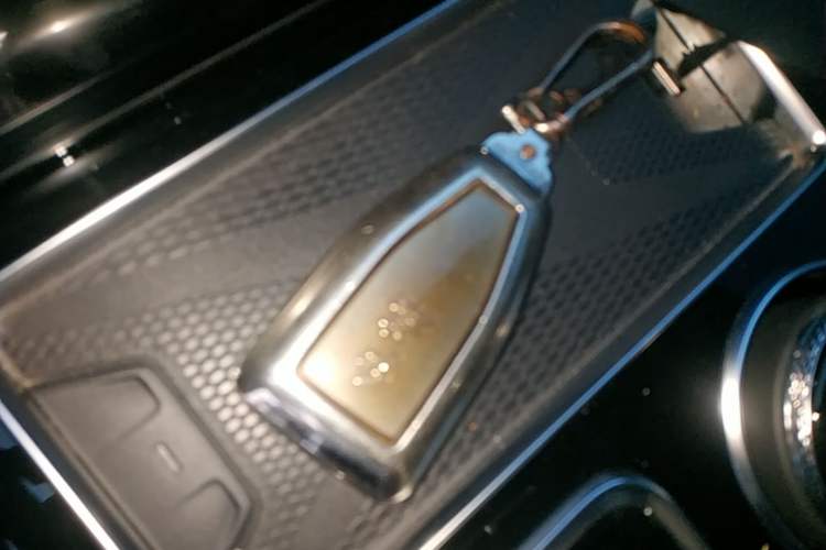 Used Hongqi HS7 2022 2.0T DCT Two-Wheel Drive Smart Connect Flagship Edition Seven Seats Vehicle Key