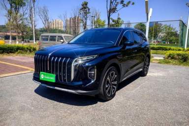 Used Hongqi HS7 2023 2.0T Automatic All-Wheel Drive Flagship Edition 7 Seats