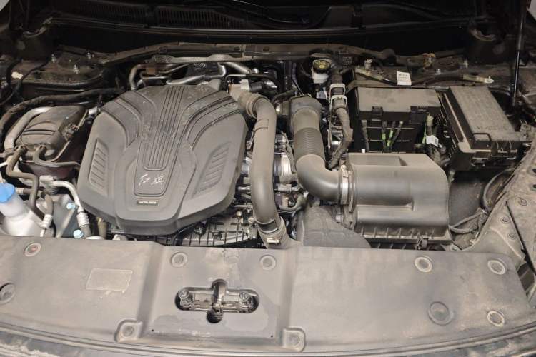 Used Hongqi HS7 2023 2.0T Automatic All-Wheel Drive Flagship Edition 7 Seats Engine Bay