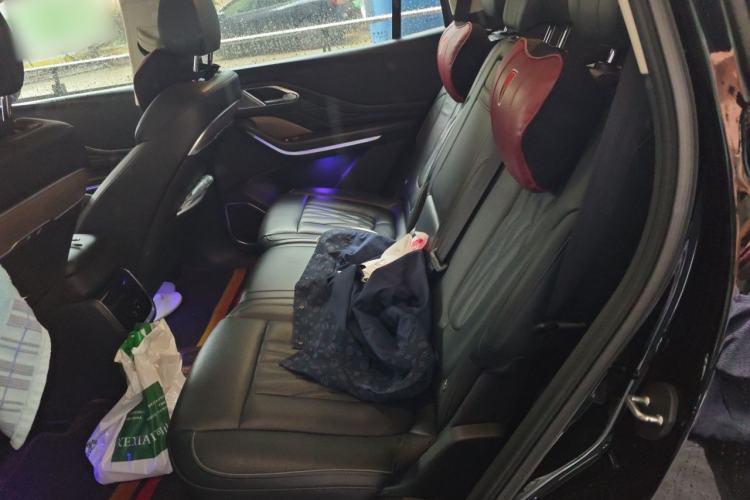 Used Hongqi HS7 2023 2.0T Automatic All-Wheel Drive Flagship Edition 7 Seats Left Rear Seat