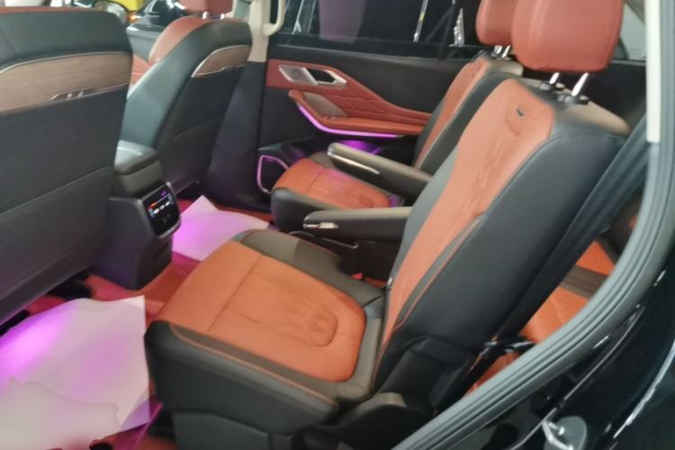 Used Hongqi HS7 2023 2.0T Automatic All-Wheel Drive Flagship Edition Six Seats Left Rear Seat