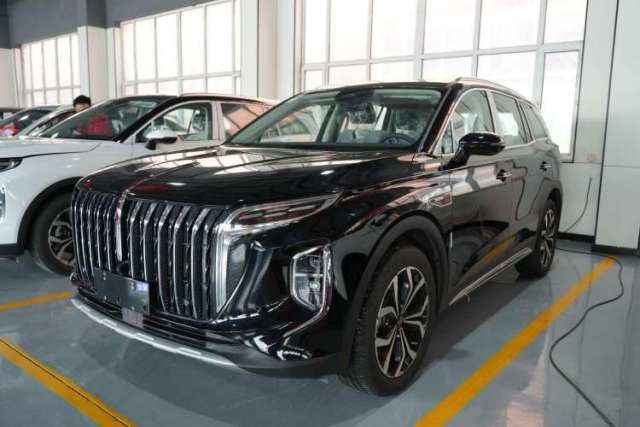 Used Hongqi HS7 2023 2.0T Automatic All-Wheel Drive Flagship Edition Six Seats