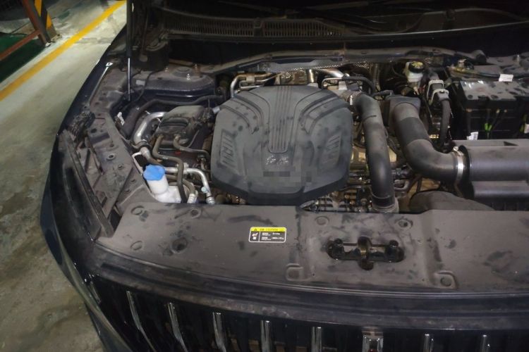 Used Hongqi HS7 2023 2.0T Automatic All-Wheel-Drive Flagship Edition Six Seats Engine Bay Right